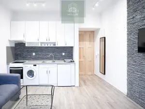 Pronájem bytu 2+kk, Plzeň, Guldenerova, 43 m2