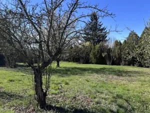 Prodej zahrady, Praha - Řeporyje, K Zadní Kopanině, 1182 m2