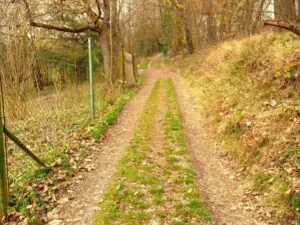 Prodej zahrady, Domažlice, Vlčí Hrdlo, 647 m2