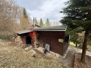 Prodej chaty, Boršov nad Vltavou - Jamné, 36 m2
