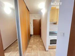 Pronájem bytu 3+1, České Budějovice, J. K. Chmelenského, 86 m2