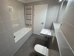 Pronájem bytu 1+kk, Praha - Dolní Měcholupy, Honzíkova, 41 m2