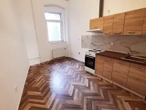 Pronájem bytu 2+1, Ústí nad Labem, Veslařská, 57 m2