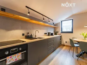 Prodej apartmánu, Staré Město, Sportovní, 197 m2