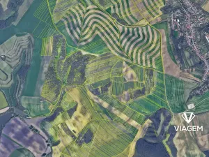 Prodej lesa, Bošovice, 3277 m2