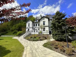 Prodej vily, Nižbor, Ke Hřišti, 390 m2