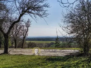 Prodej rodinného domu, Střemy, 100 m2