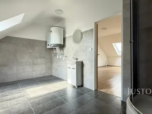 Pronájem bytu 1+kk, Chabařovice, V Aleji, 50 m2