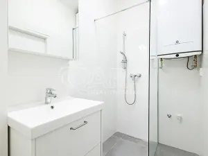 Pronájem bytu 1+kk, Praha - Nusle, V Horkách, 22 m2