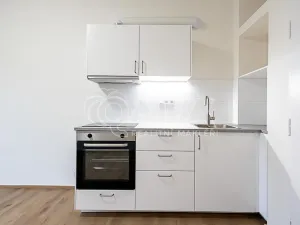 Pronájem bytu 1+kk, Praha - Nusle, V Horkách, 22 m2