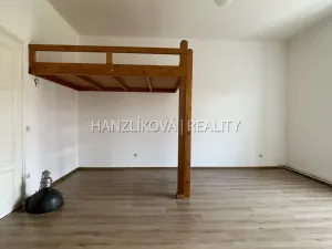 Pronájem bytu 1+1, České Budějovice - České Budějovice 6, Žižkova tř., 49 m2