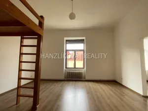 Pronájem bytu 1+1, České Budějovice - České Budějovice 6, Žižkova tř., 49 m2