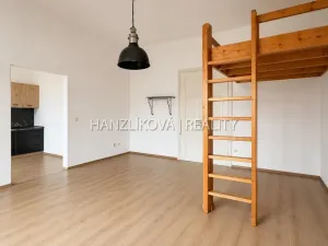 Pronájem bytu 1+1, České Budějovice - České Budějovice 6, Žižkova tř., 49 m2