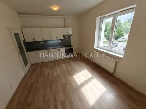 Pronájem bytu 1+kk, České Budějovice - České Budějovice 2, U Lesa, 26 m2