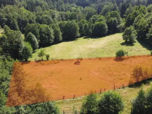 Prodej pozemku pro bydlení, Olešnice v Orlických horách, 3118 m2