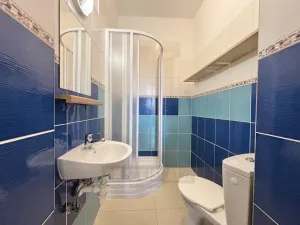 Pronájem bytu 1+kk, České Budějovice - České Budějovice 4, Dobrovodská, 19 m2