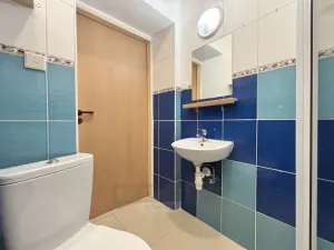 Pronájem bytu 1+kk, České Budějovice - České Budějovice 4, Dobrovodská, 19 m2