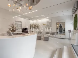 Pronájem ordinace, Praha - Josefov, Elišky Krásnohorské, 34 m2