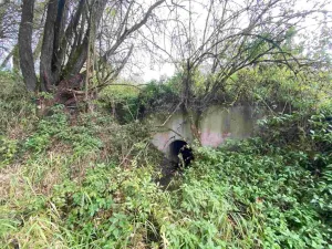 Prodej pozemku, Horní Dvořiště, 10042 m2