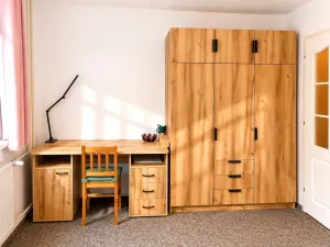 Prodej bytu 1+kk, Stráž pod Ralskem, Máchova, 41 m2