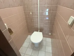 Pronájem rodinného domu, Třebíč, Oldřichova, 160 m2