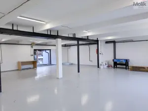 Pronájem skladu, Ledvice, Mírová, 198 m2