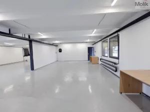 Pronájem skladu, Ledvice, Mírová, 198 m2