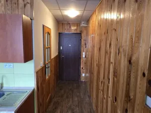 Pronájem bytu 1+1, Litvínov - Horní Litvínov, Tylova, 37 m2