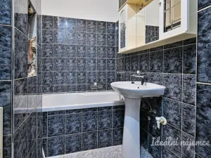 Pronájem bytu 2+1, Brno - Ponava, Botanická, 54 m2