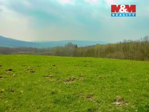 Prodej louky, Stružnice, 55278 m2