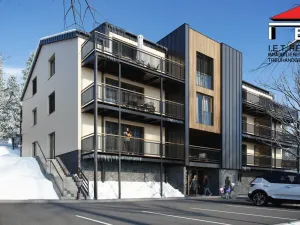 Prodej bytu 1+kk, Loučná nad Desnou - Rejhotice, 45 m2