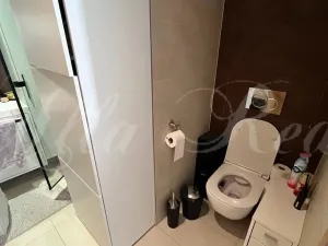 Pronájem bytu 1+kk, Brno - Medlánky, Palackého třída, 33 m2