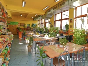 Prodej činžovního domu, Kladno, Osvoboz. pol. vězňů, 1000 m2