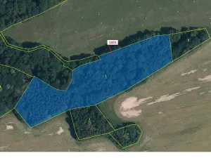 Dražba lesa, Višňová, 21506 m2