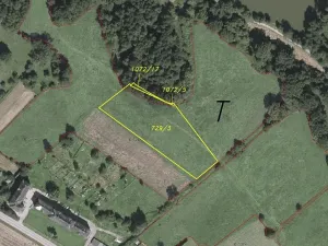 Dražba louky, Petrovice u Karviné, 6981 m2