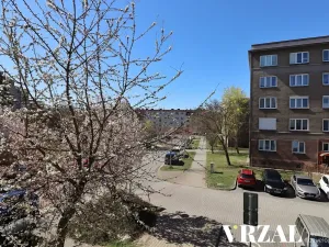 Pronájem bytu 3+kk, Plzeň, Francouzská třída, 57 m2