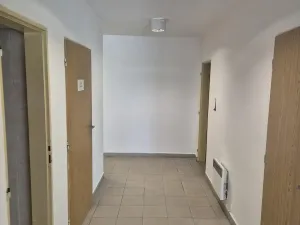 Pronájem obchodního prostoru, Ostrava - Svinov, Fibichova, 78 m2