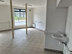 Pronájem obchodního prostoru, Ostrava - Svinov, Fibichova, 51 m2