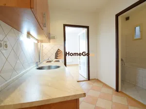 Pronájem bytu 1+1, Praha - Nusle, U gymnázia, 49 m2