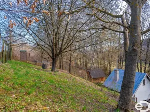 Prodej chaty, Morašice, 45 m2