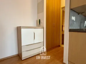 Pronájem bytu 2+kk, Praha - Chodov, Dědinova, 53 m2