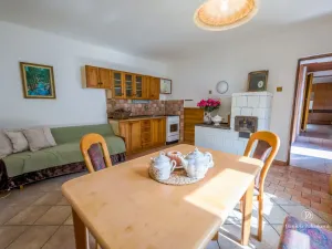 Prodej zemědělského objektu, Plav, 105 m2