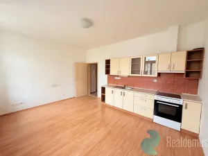Pronájem bytu 1+kk, České Budějovice, Klaricova, 26 m2