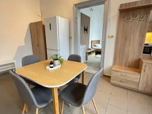 Pronájem bytu 2+kk, Dolní Roveň - Litětiny, 40 m2