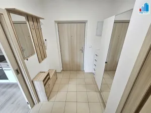 Pronájem bytu 1+kk, Plzeň - Jižní Předměstí, Rybářská, 39 m2