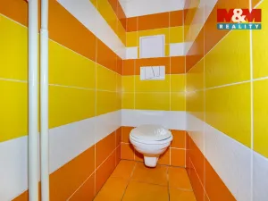 Pronájem bytu 1+1, Plzeň - Východní Předměstí, Francouzská třída, 40 m2