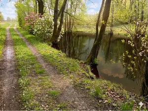 Prodej rybníku, Votice, 2482 m2