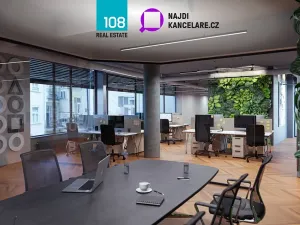 Pronájem kanceláře, Praha - Nové Město, Václavské náměstí, 652 m2