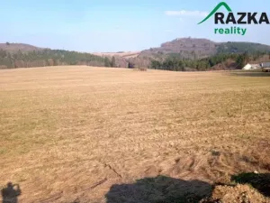 Prodej komerčního pozemku, Lestkov - Domaslav, 4866 m2