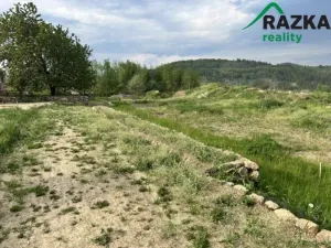 Prodej komerčního pozemku, Lestkov - Domaslav, 4866 m2